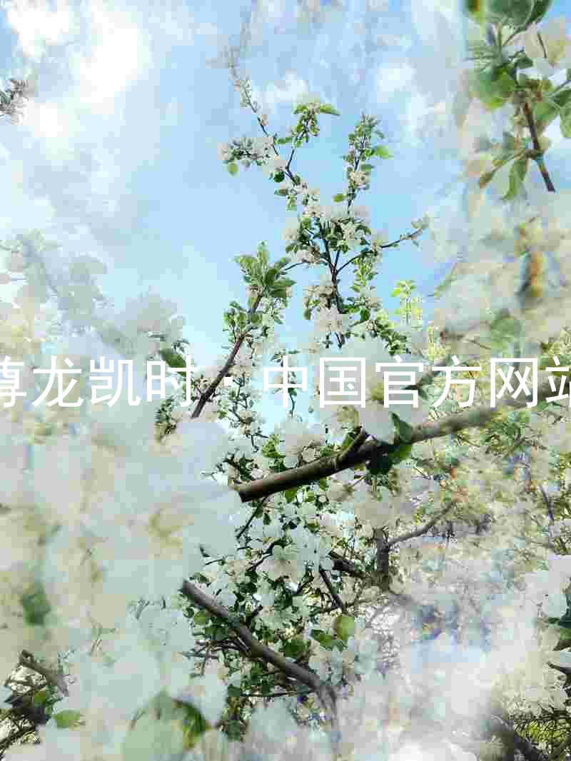 尊龙凯时·中国官方网站