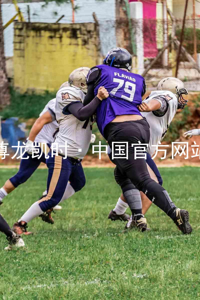 尊龙凯时·中国官方网站