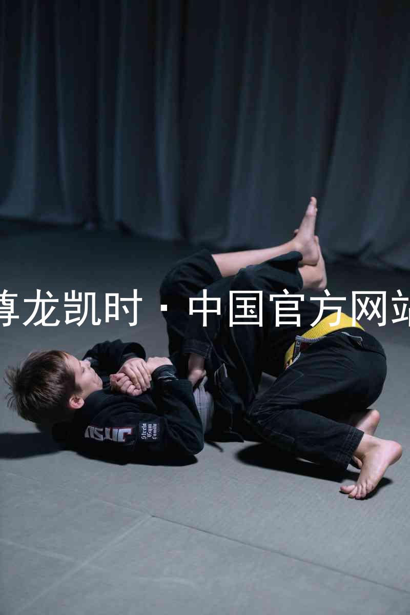 尊龙凯时·中国官方网站